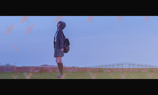 DARLING in the FRANXX 莓 莓良心 015 cosplay