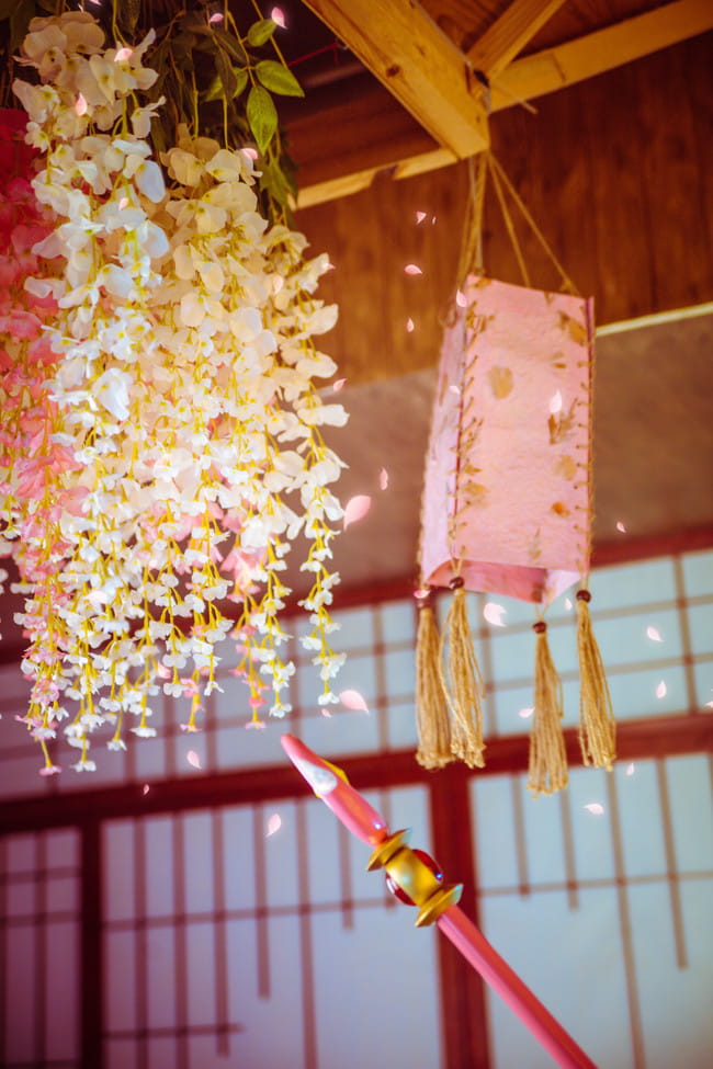 木之本樱 赏樱 生日贺片 cosplay