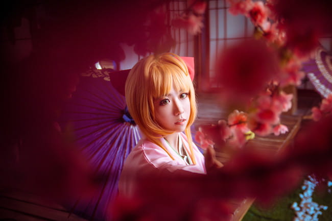 木之本樱 赏樱 生日贺片 cosplay