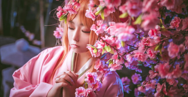 木之本樱 赏樱 生日贺片 cosplay