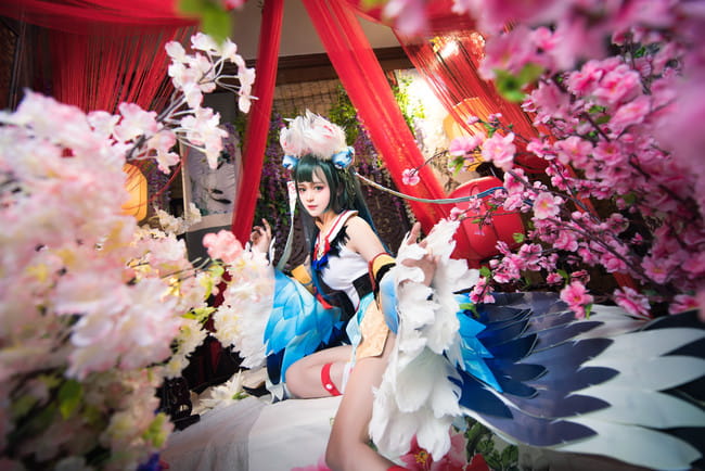 【cos正片】#花鸟卷##闲池荷香#