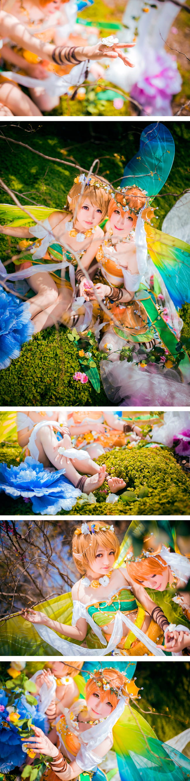 Love Live！花妖精觉醒