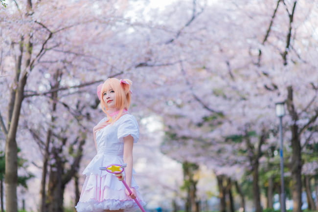 魔卡少女樱 木之本樱 cosplay图片(1)