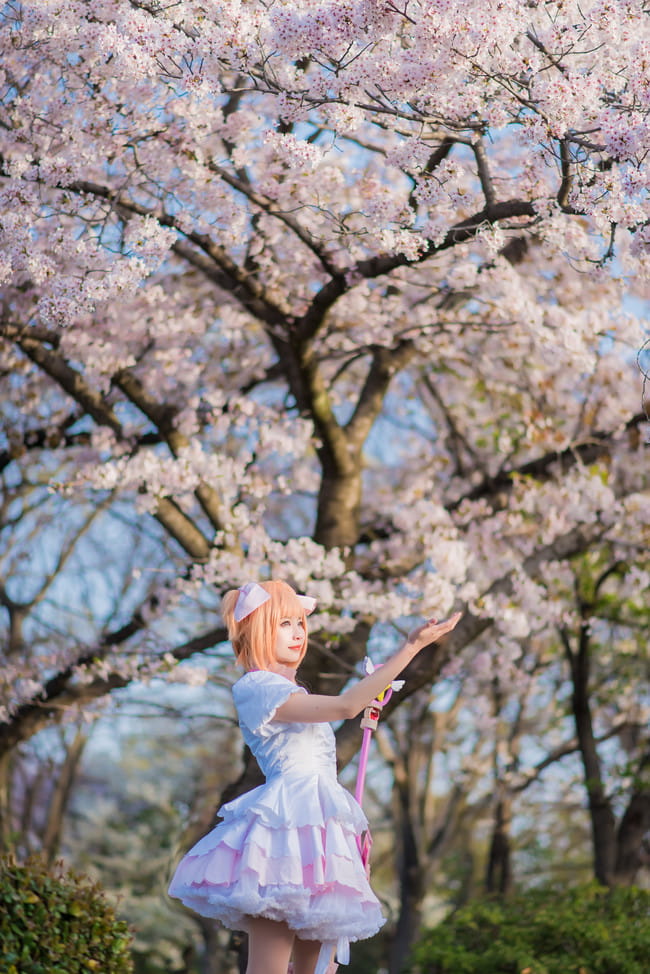 魔卡少女樱 木之本樱 cosplay图片(1)