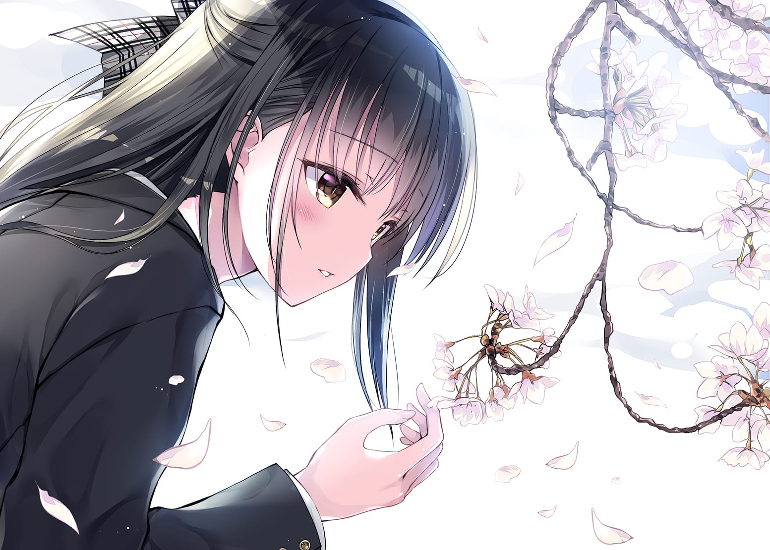 比翼之鸟 无依则亡  动漫壁纸20180507期(1)