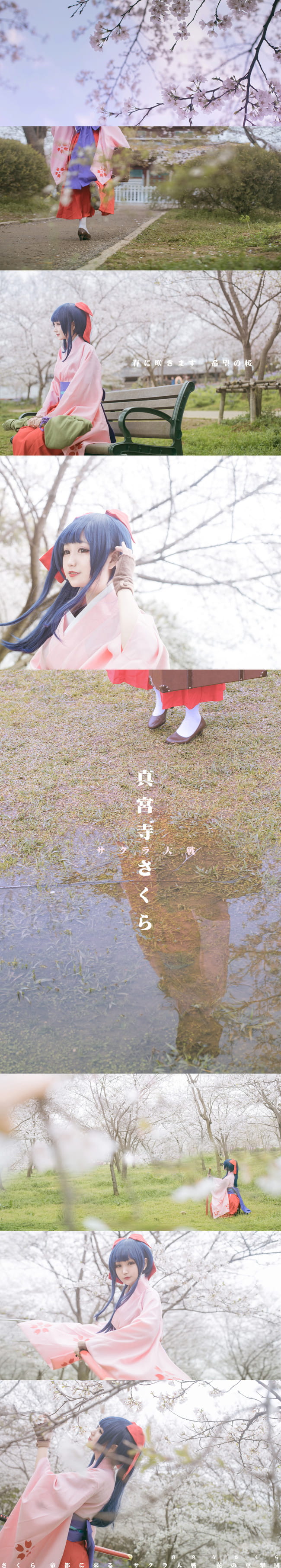 —— 樱 花 大 战 ——