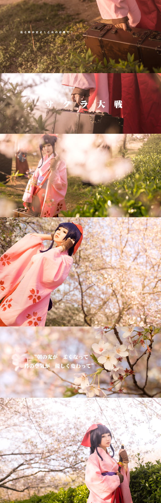 —— 樱 花 大 战 ——