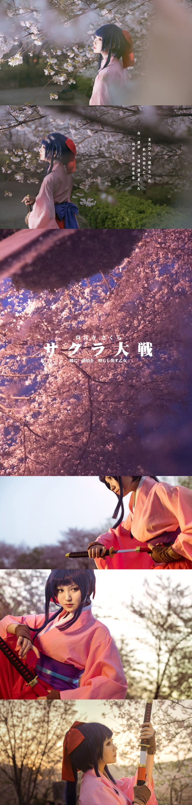 —— 樱 花 大 战 ——