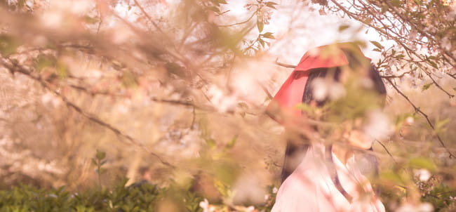 —— 樱 花 大 战 ——