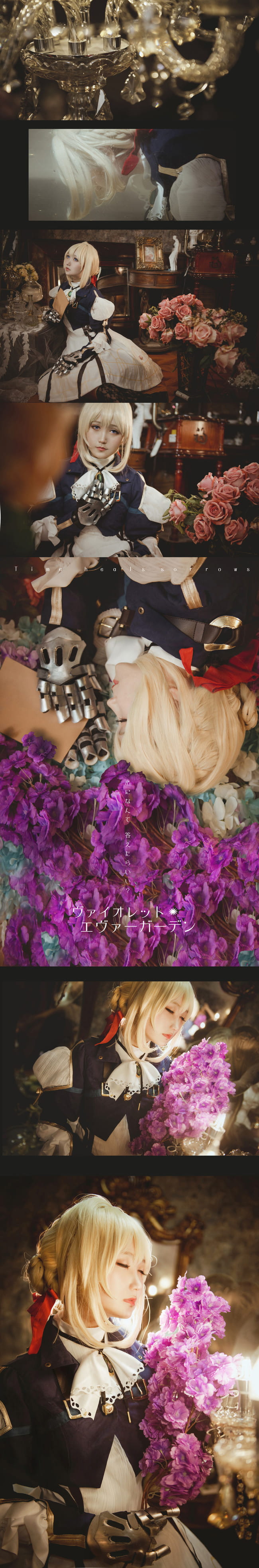 —— 紫 罗 兰 永 恒 花 园 ——