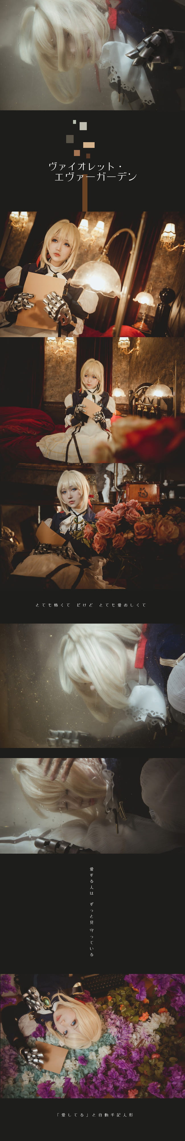 —— 紫 罗 兰 永 恒 花 园 ——