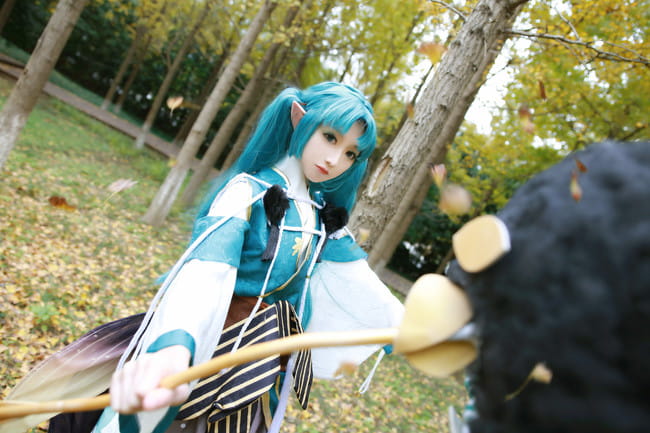 萤草—招财进宝