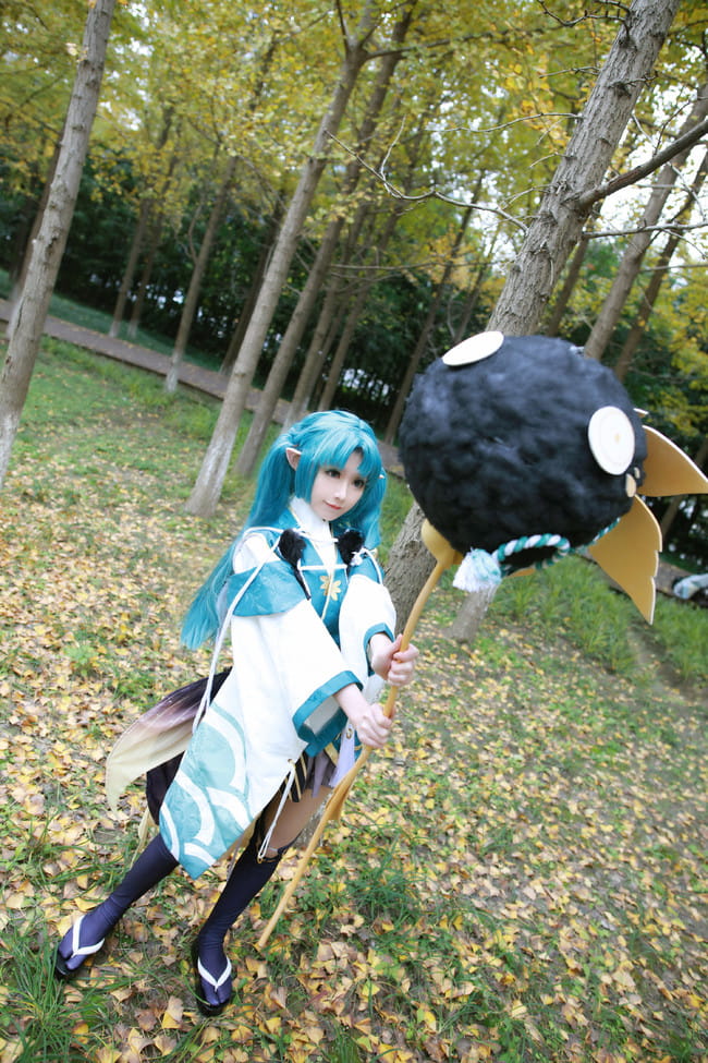 萤草—招财进宝