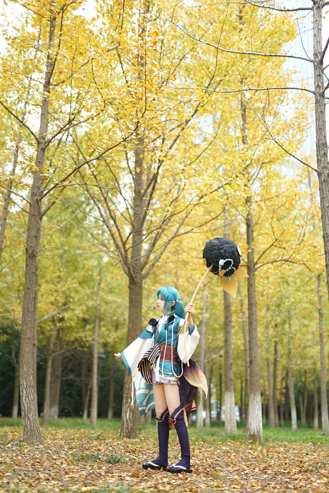 萤草—招财进宝