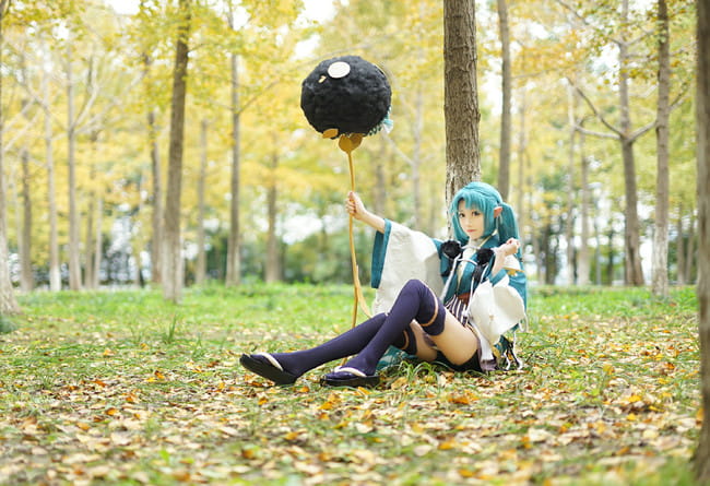 萤草—招财进宝