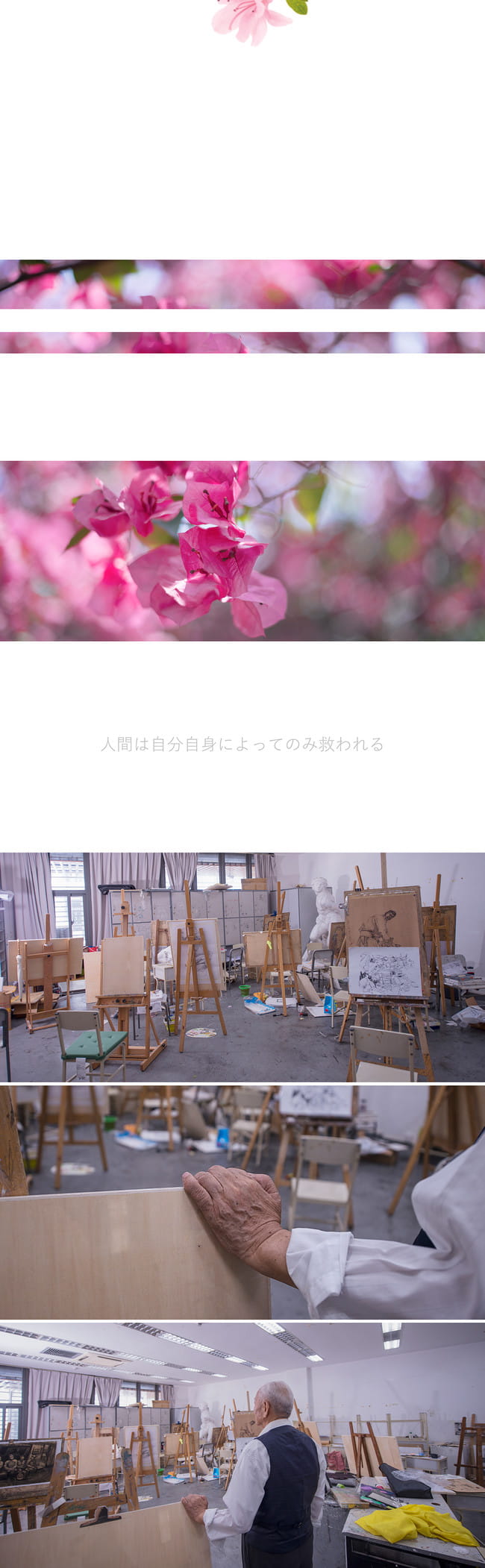 网易手游阴阳师 花鸟卷cosplay 图片(1)