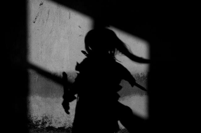 传说之刃-花木兰