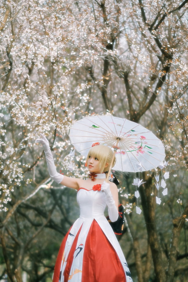 Fate/Grand Order saber