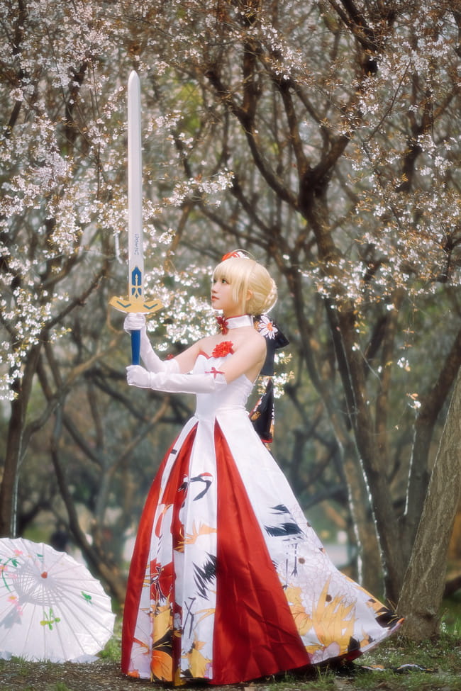 Fate/Grand Order saber