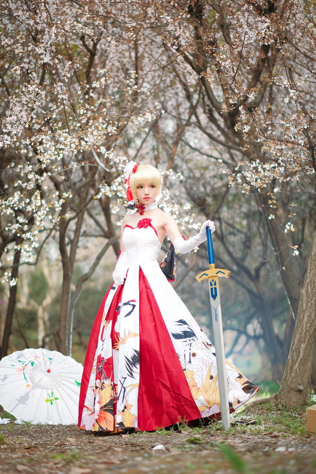 Fate/Grand Order saber