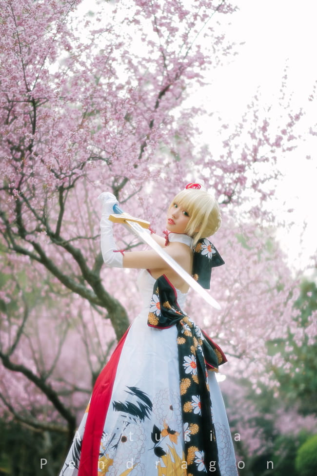 Fate/Grand Order saber