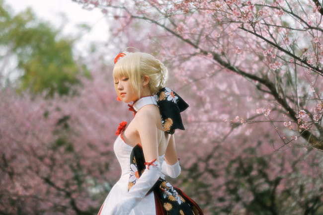 Fate/Grand Order saber