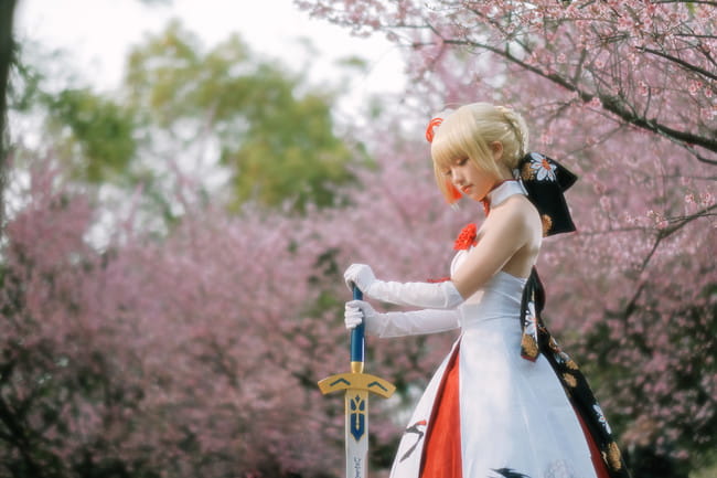 Fate/Grand Order saber