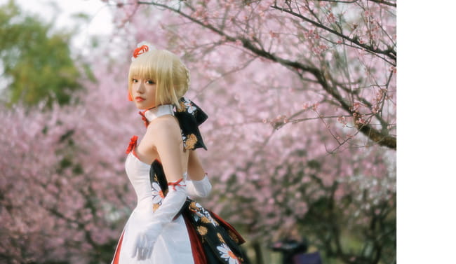 Fate/Grand Order saber