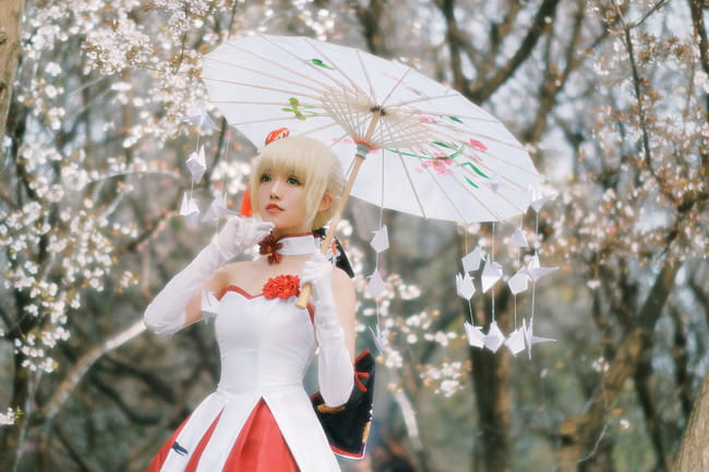 Fate/Grand Order saber