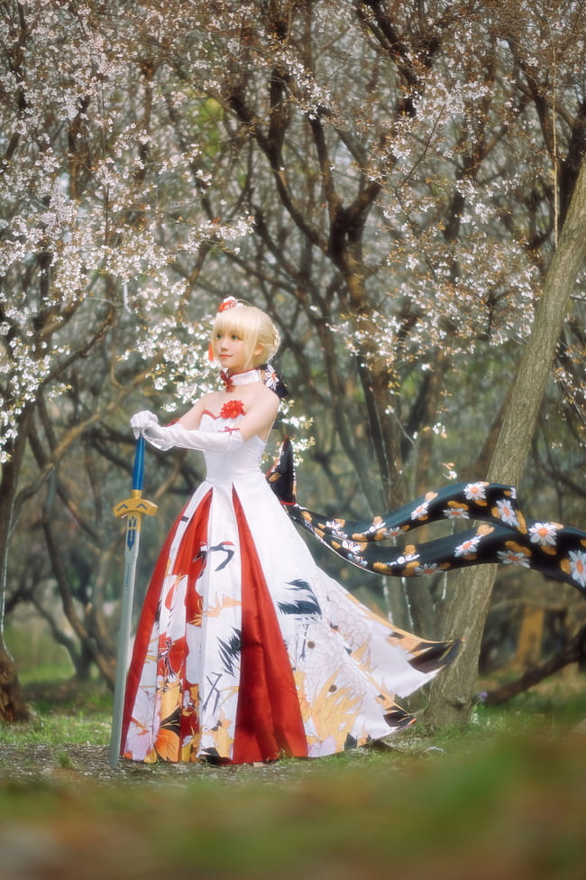 Fate/Grand Order saber