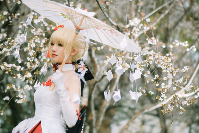 Fate/Grand Order saber