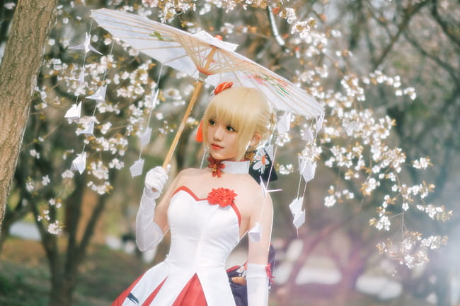Fate/Grand Order saber