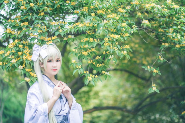 神户园花开烂漫 可惜我那天去遇到下雨 缘之空 穹妹 cosplay