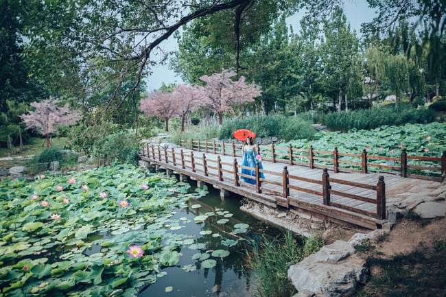 剑侠情缘网络版叁 七秀 御姐 cosplay