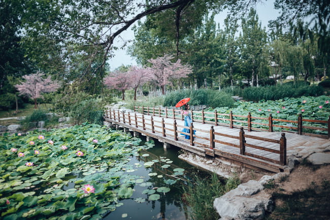 剑侠情缘网络版叁 七秀 御姐 cosplay