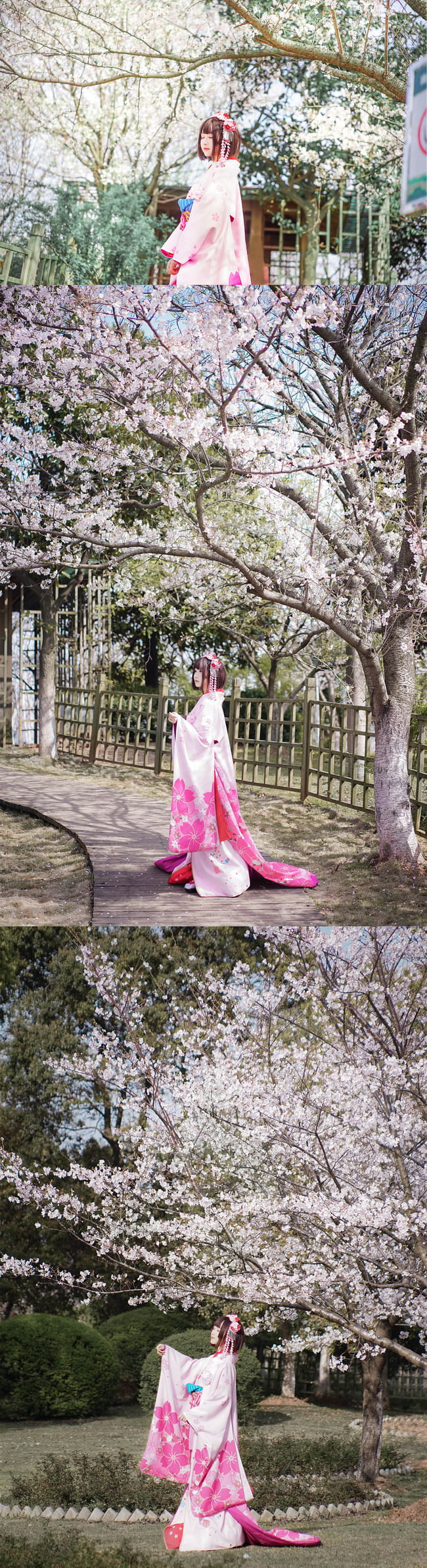 愿意和惠一起赏樱吗？ 路人女主的养成方法 cosplay