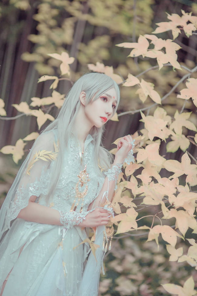 剑侠情缘网络版叁 云间金月