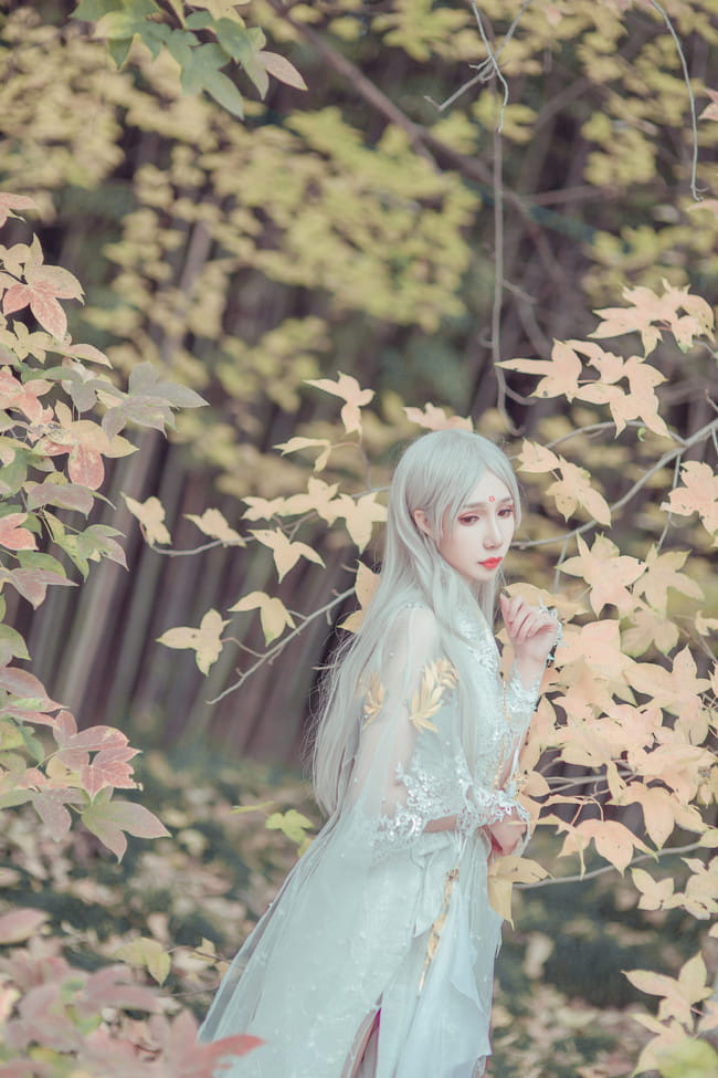 剑侠情缘网络版叁 云间金月