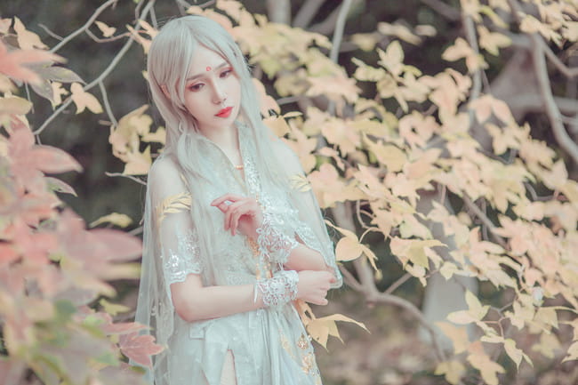 剑侠情缘网络版叁 云间金月