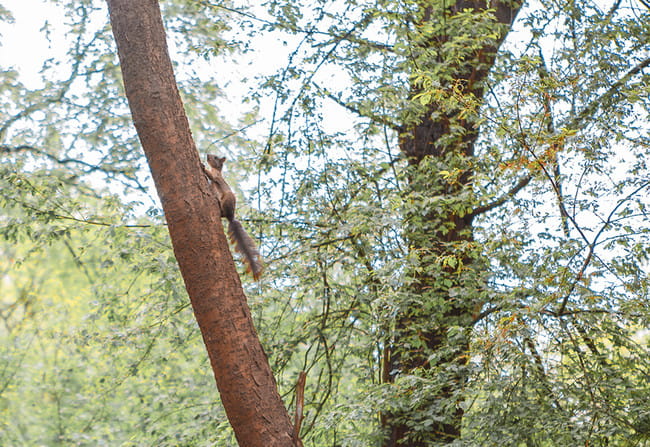 不昧本来，太虚明月流辉过