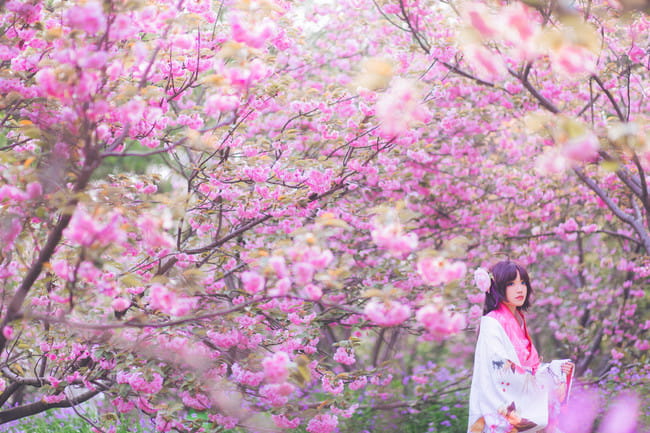 Fate/Grand Order 两仪式 cosplay