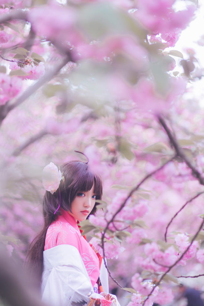 Fate/Grand Order 两仪式 cosplay