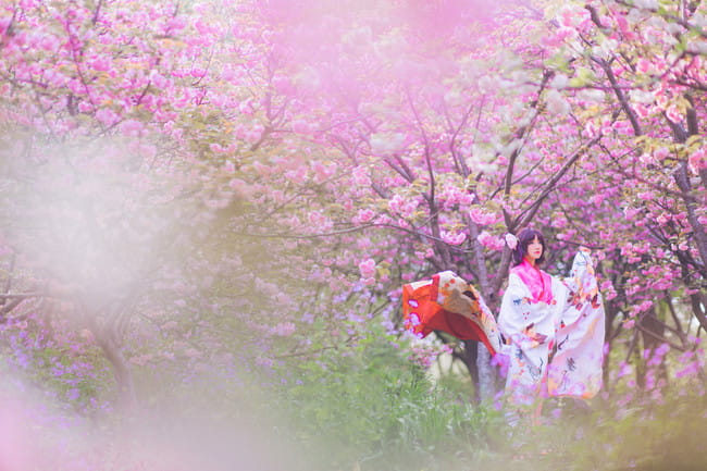 Fate/Grand Order 两仪式 cosplay