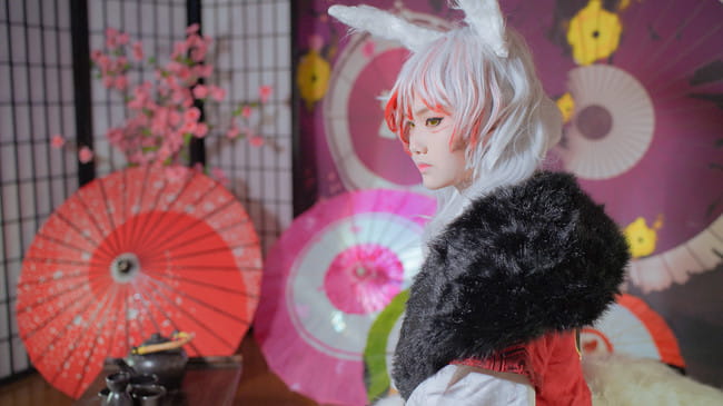 大天狗与狐妖的故事