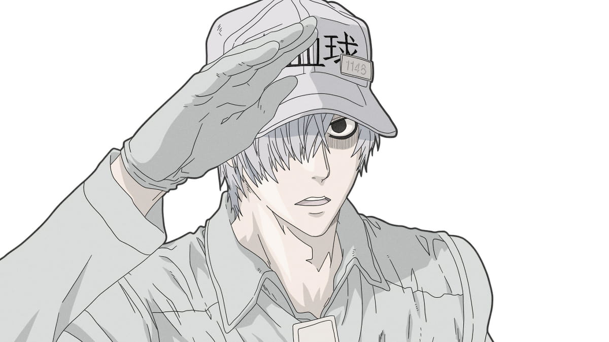 《工作细胞》白细胞萌化手机主题