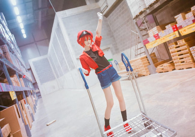 工作细胞 红血球 白血球 血小板 cosplay