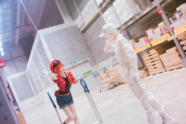 工作细胞 红血球 白血球 血小板 cosplay