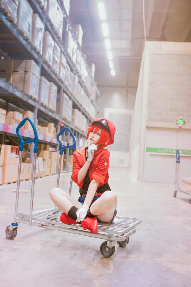 工作细胞 红血球 白血球 血小板 cosplay