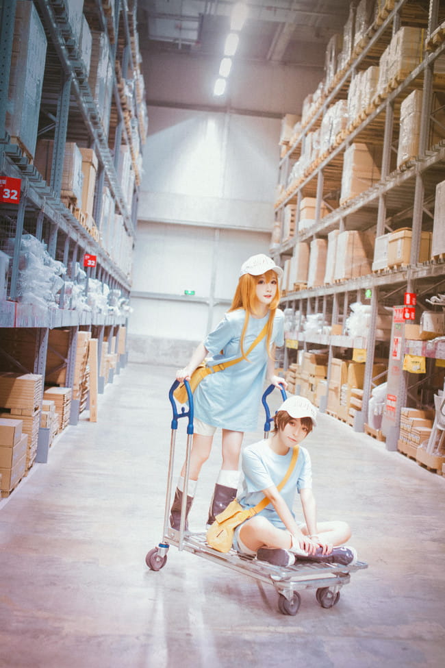 工作细胞 红血球 白血球 血小板 cosplay