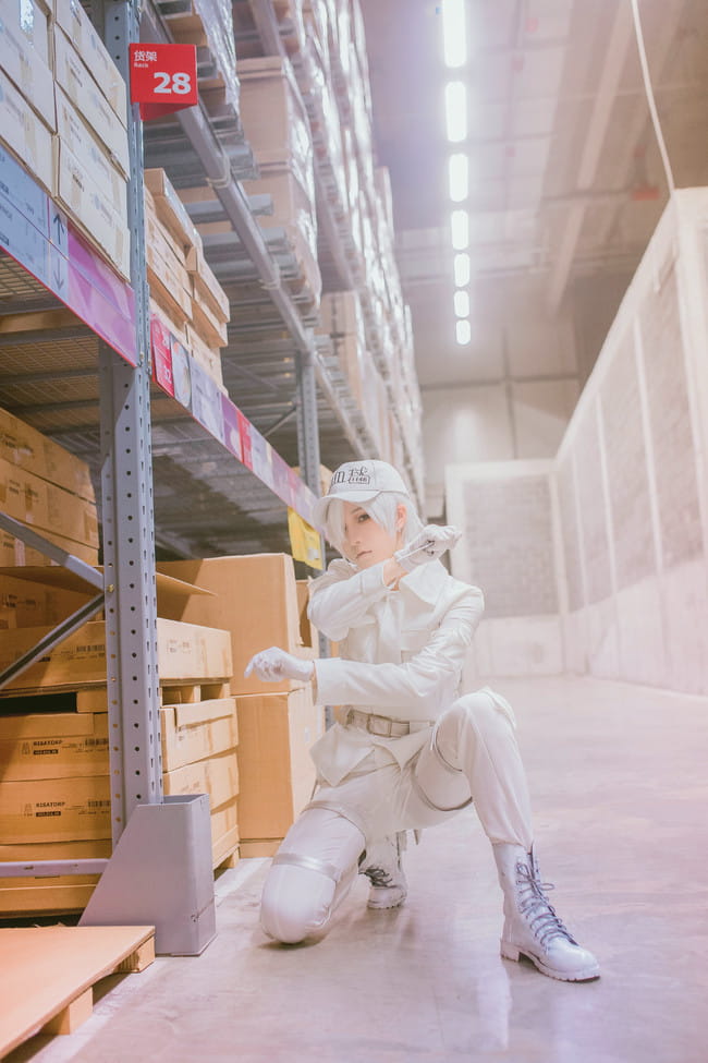 工作细胞 红血球 白血球 血小板 cosplay